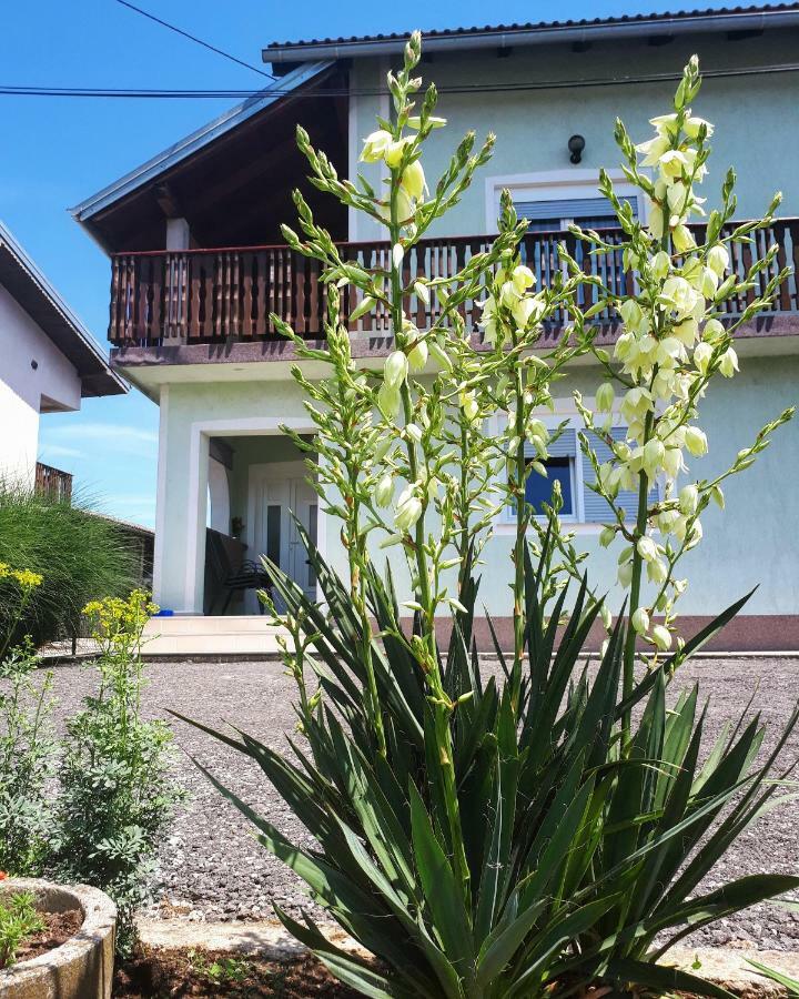 Apartman Lena Tusilovic Zewnętrze zdjęcie