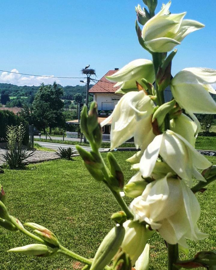 Apartman Lena Tusilovic Zewnętrze zdjęcie